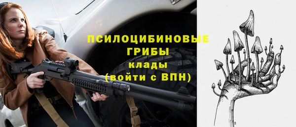 СК Аркадак