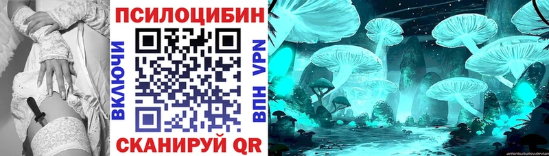 Галлюциногенные грибы Cubensis наркотики Асино