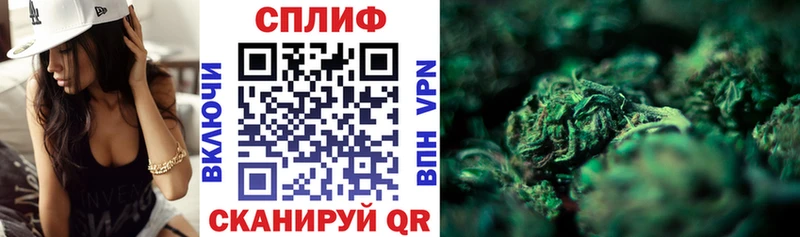 МЕГА зеркало  Асино  Каннабис планчик 